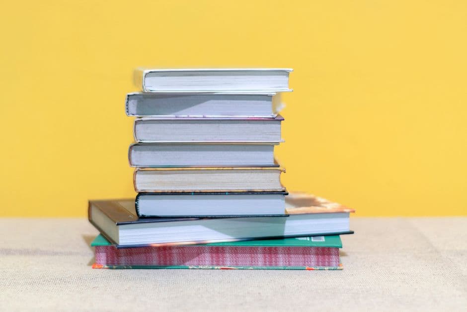 Manuels scolaires — secondaire (lot)